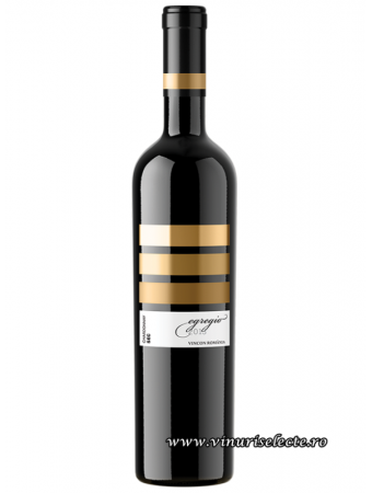 Vincon EGREGIO Chardonnay 2013